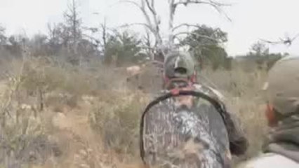 Would You Shoot a Bull When It's Fighting?