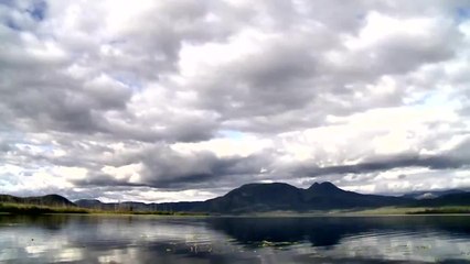 The Rack Man: Up Close with a Huge Yukon Bull