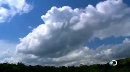 Man, Woman, Wild: Amazon Wildlife