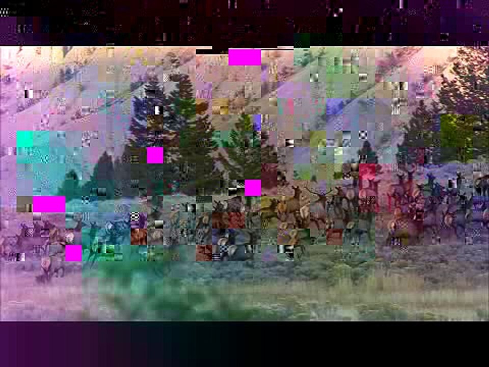Bonus Webisode 1