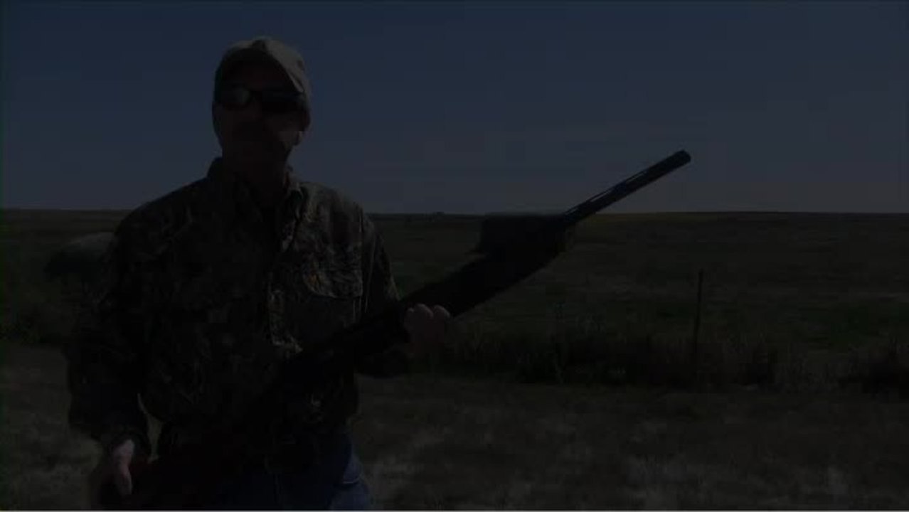 New Browning A5 Humpback Autoloader
