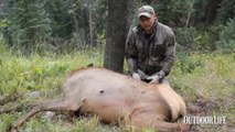 Live Hunt: How to Debone an Elk