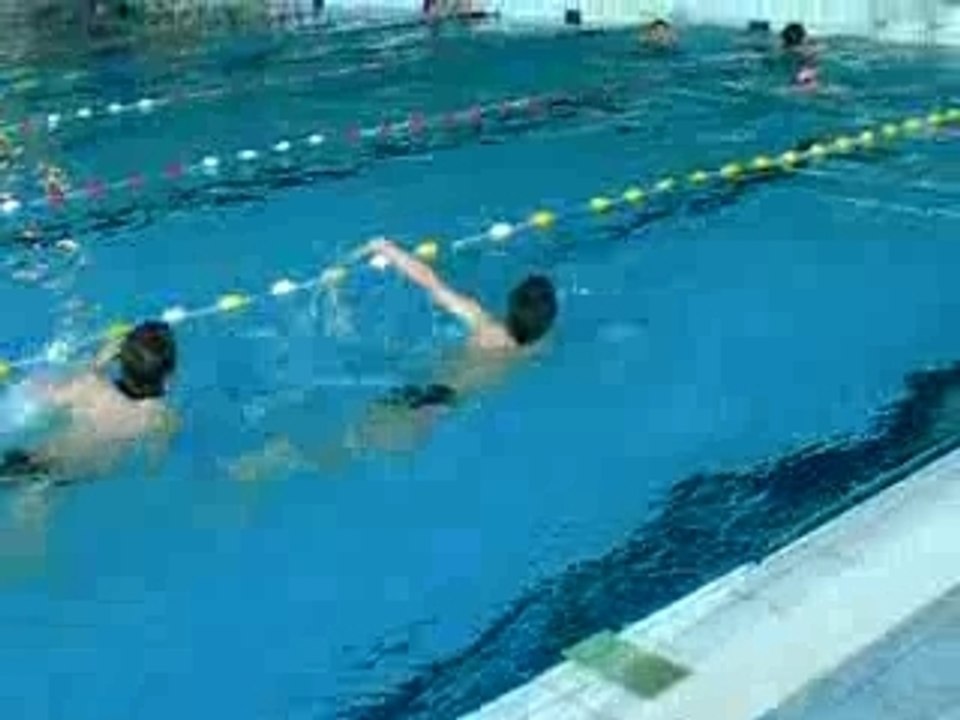 le brevet de natation