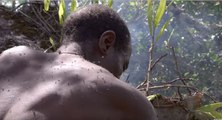 Il escalade un arbre de 40 mètres et risque sa vie pour offrir du miel à sa famille