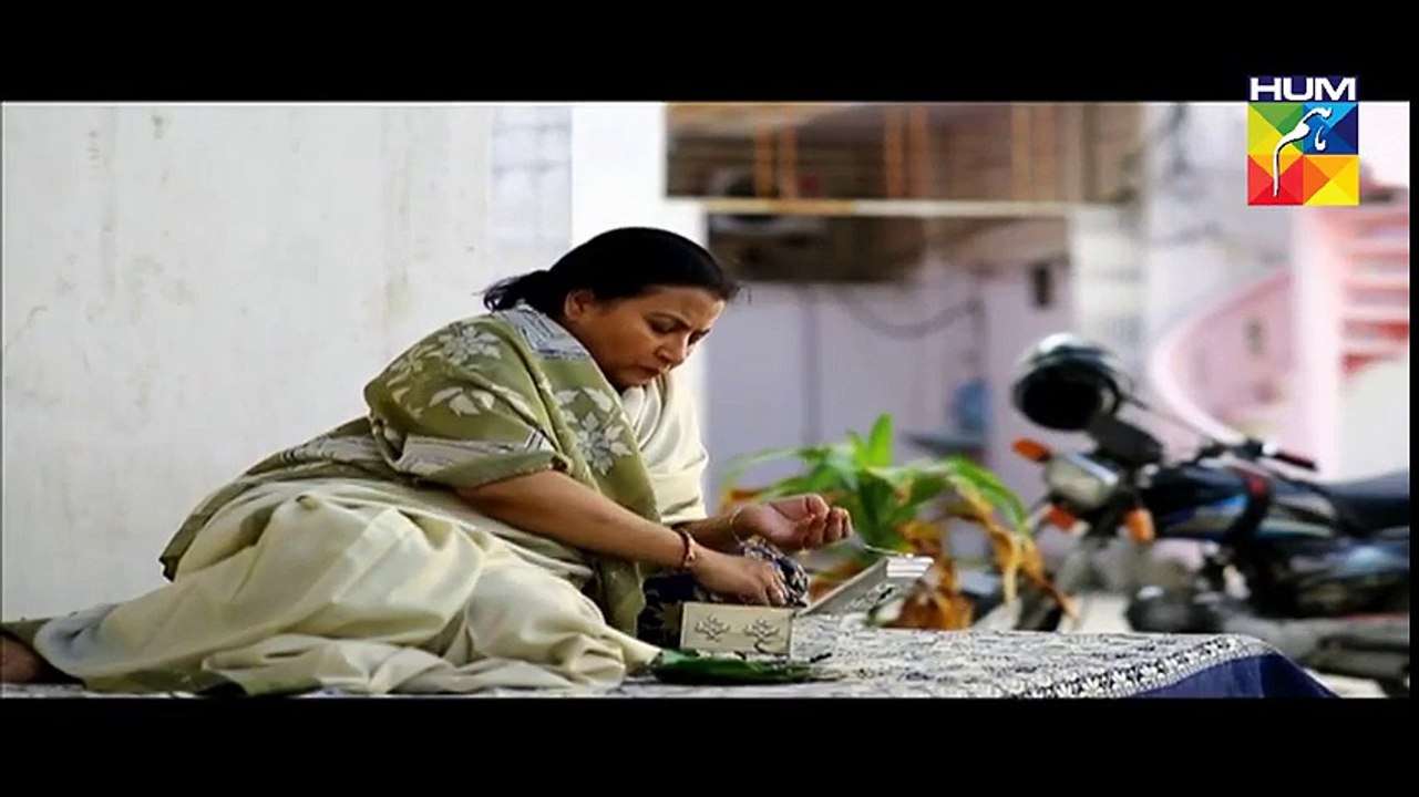 Zindagi Tujh Ko Jiya Episode 3 Full Hum Tv Drama 24th February 2016