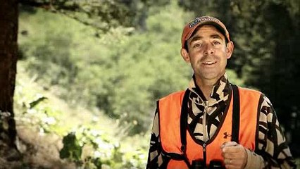 Minisode #13: The Right Calls for Elk