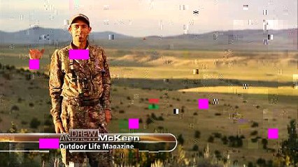 Minisode #10: Optics for Elk