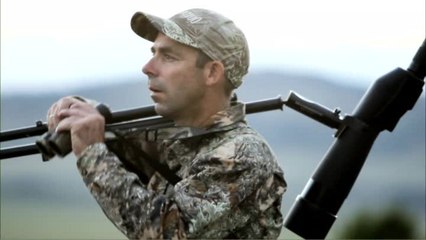 Guess the Score of This Bull, Win a New Bow