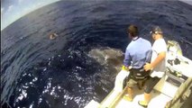 Underwater Mako Shark Attack