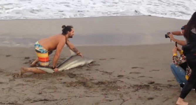 Un abruti sort un requin de l'eau pour prendre une photo