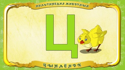 Мультипедия животных. Буква Ц Цыплёнок