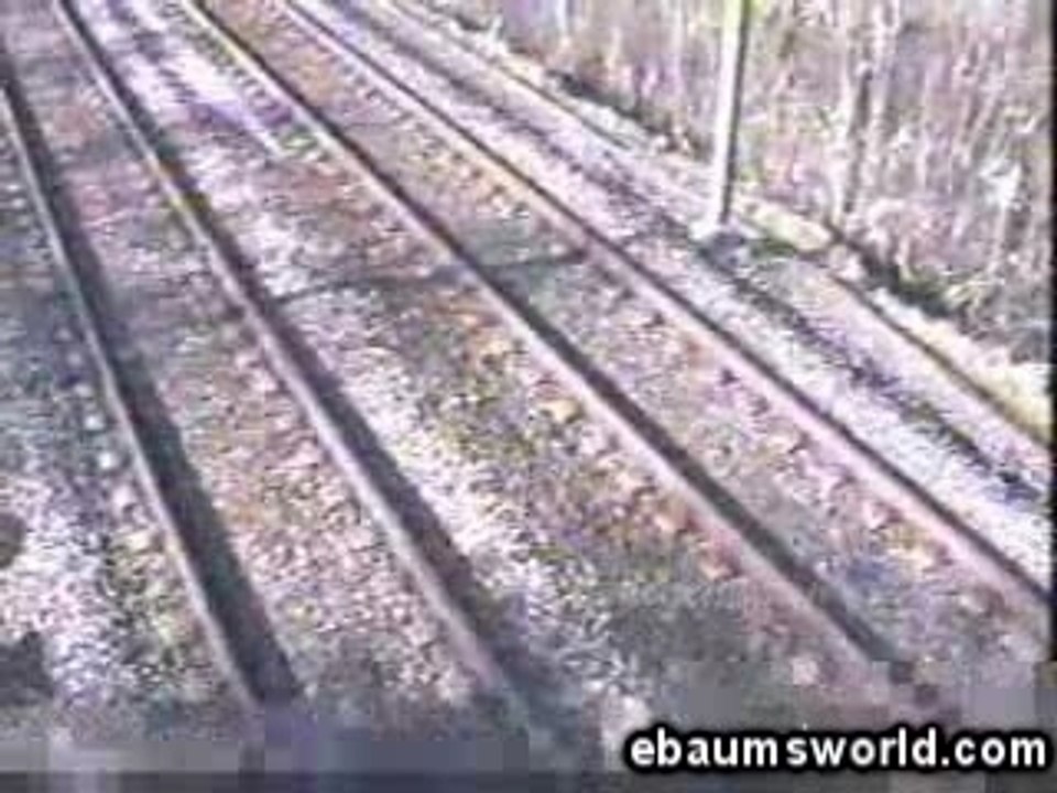 Traindodge