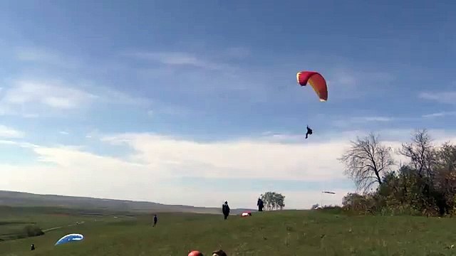 Paraglider Crashes Into Trees
