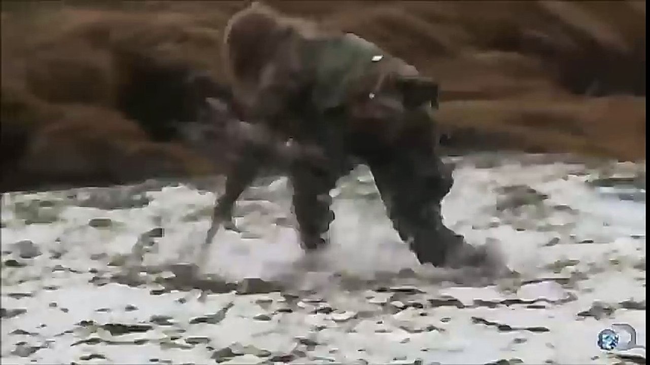 fish punch