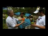 Cargas Impossíveis: Missão Arriscada (Dublado) - Documentário National Geographic