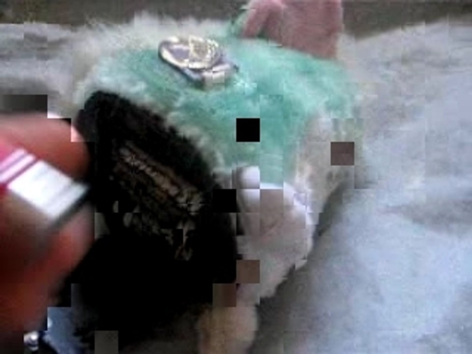 bébé Furby 1ère génération