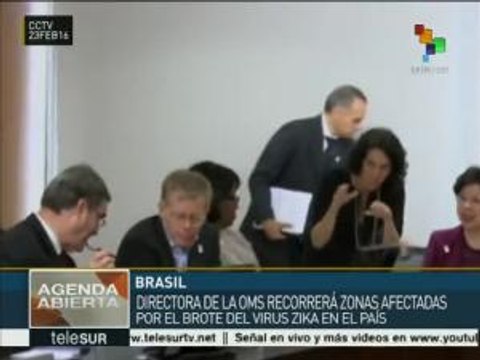 OMS evalúa acciones tomadas por Brasil para frenar Zika