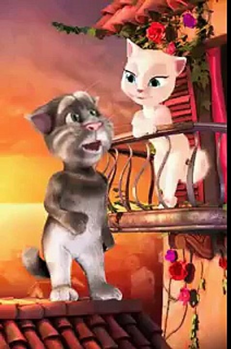 Hahaha funny cat