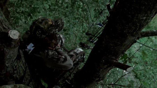 Record Quest: Mobilizing the Hunt