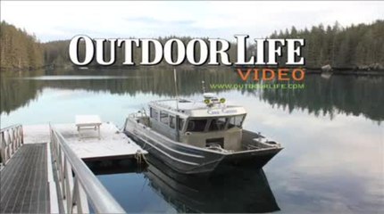 Beach Blacktail on Afognak Island