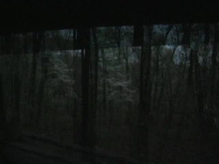 Lisa MO Ozarks day 1 timber hunt
