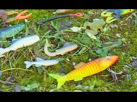 Pêche au leurre souple