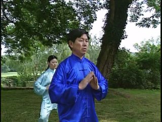 Taï Chi applications martiales