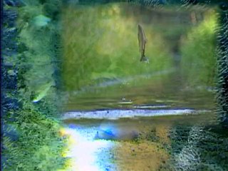 A la recherche des courants