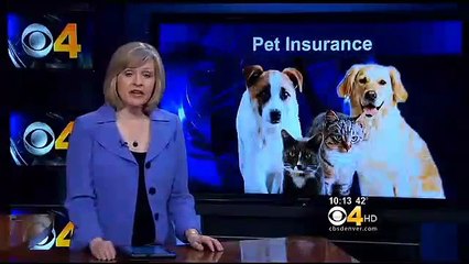 One News Story Tells Us Why We Must Have Pet Insurance