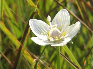 Le Jura : 3 Randonnées - Documentaire 0