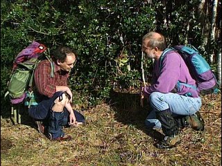 Les Pyrénées : 4 randonnées - Documentaire 0