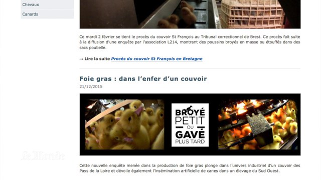 Vigan : on a encore du mal à faire le lien entre les vidéos chocs et le steak dans notre assiette