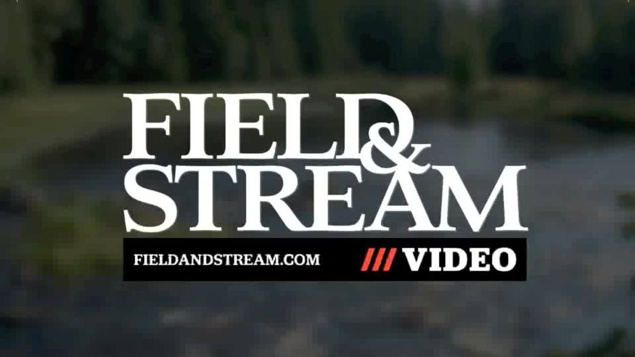 Reader Question: What Happens if you Lodge a 20 Gauge Shell in a 12 Gauge Barrel?