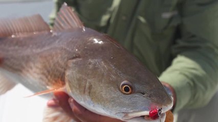 Fishing the Inlet