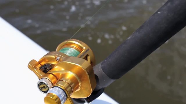 Penn Torque Reel - Driven to Fish