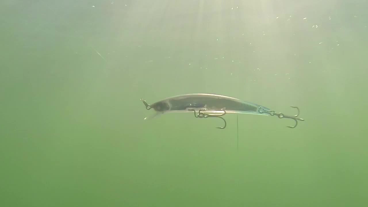 Yo-Zuri Lures - Crystal 3D Minnows - Sinking Lures