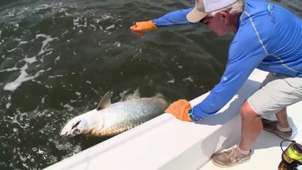 Fishing SC Rivers for Tarpon