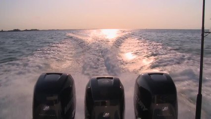 Mercury - Driven to Fish