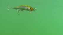 Yo-Zuri Lures - Crystal Minnows - Floating Lures