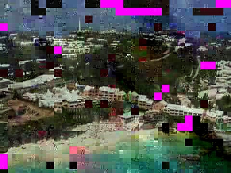 Tease_Bermuda