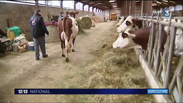 Salon de l'Agriculture : rencontre avec une famille d'éleveurs du Doubs