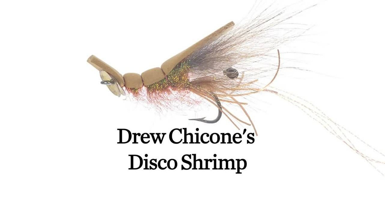 Tying the Disco Shrimp