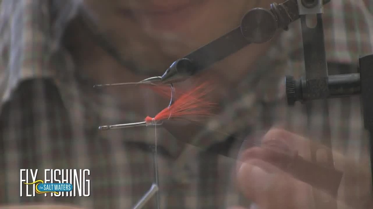 Tying the Ballyhoo Bully