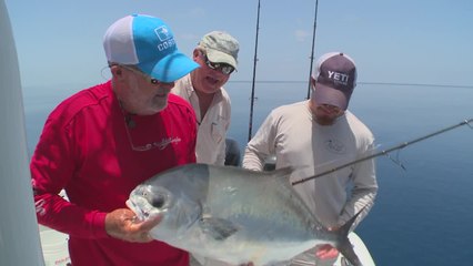 Dry Tortugas Part II
