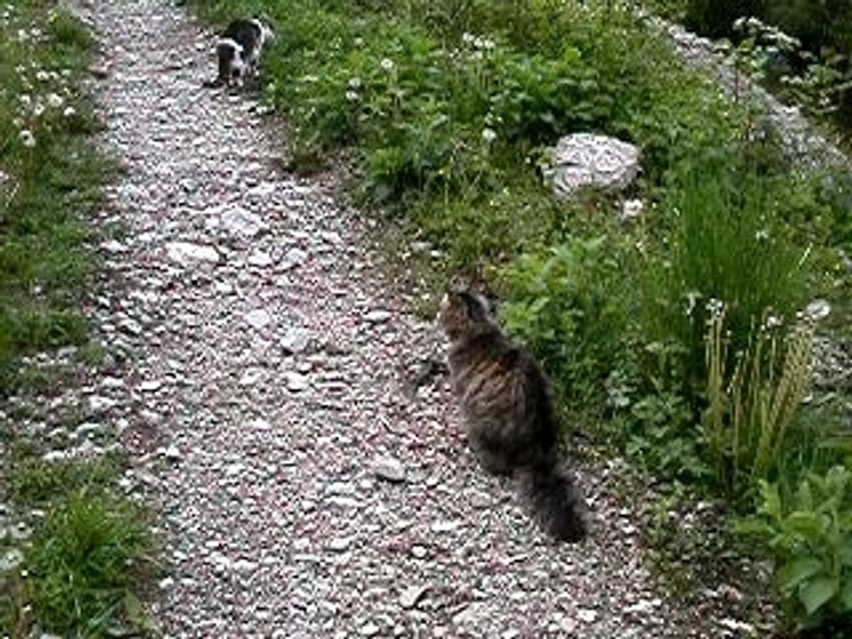 Mimi Moustic & Bacio