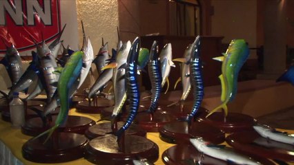 Los Cabos: Gamefish