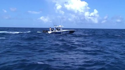 Islamorada Dolphin - Part 2 of 4