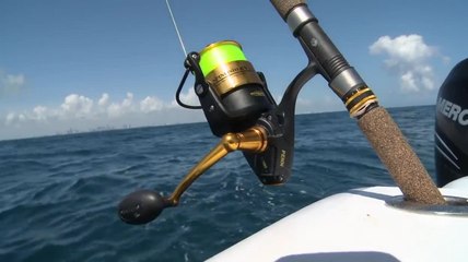 Penn Spinfisher V - Driven to Fish