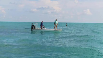 Key West Permit - Part 2 of 3