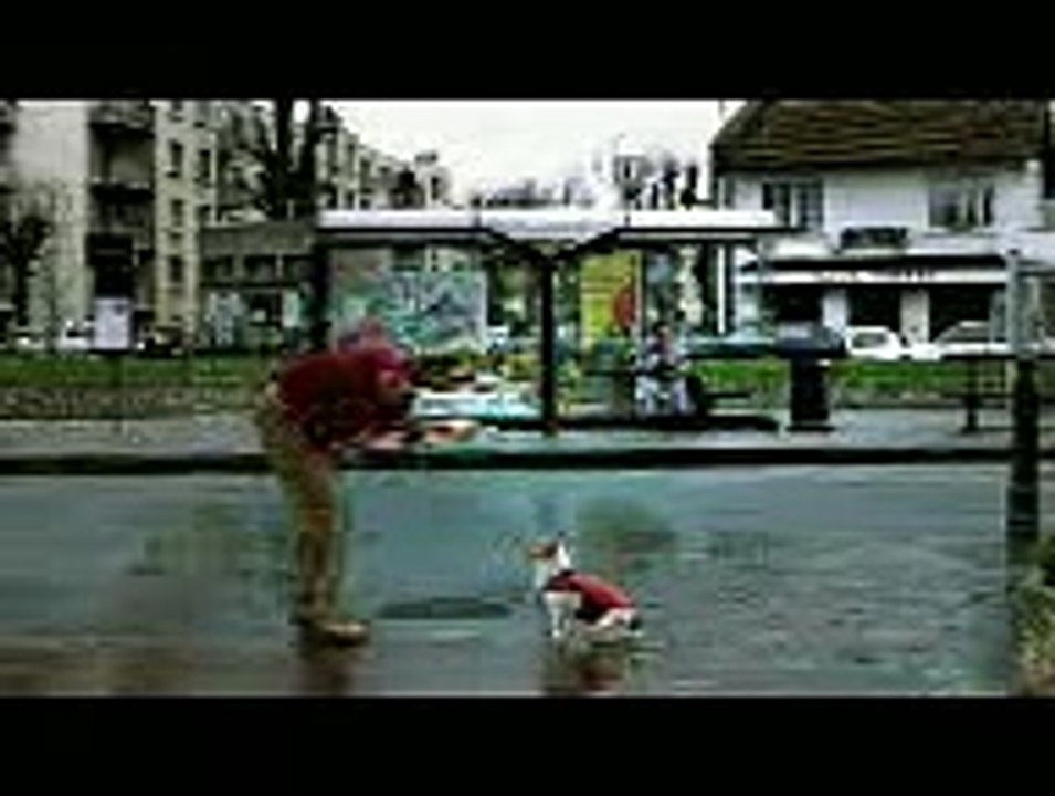 No Dog Be Football